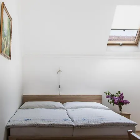 Matild Apartmanhaz 公寓 *