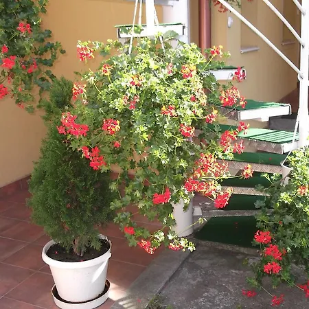 Matild Apartmanhaz Апартаменты *