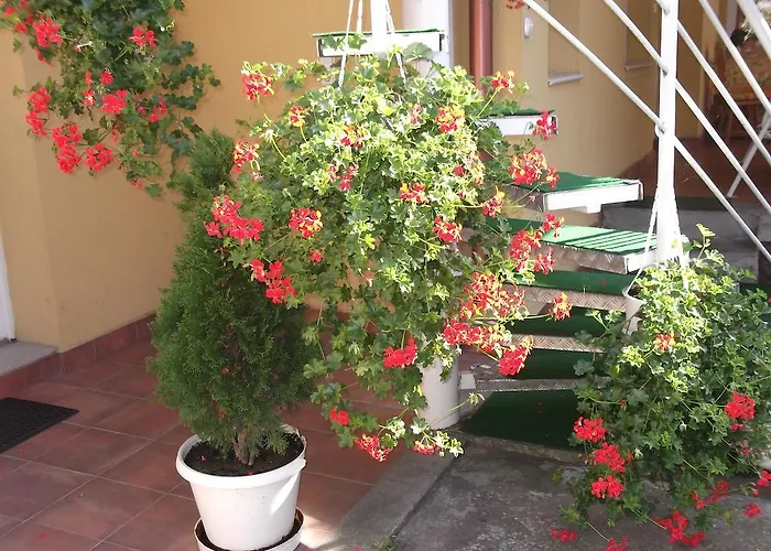 Matild Apartmanhaz Lejlighed *